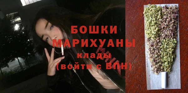 spice Снежногорск